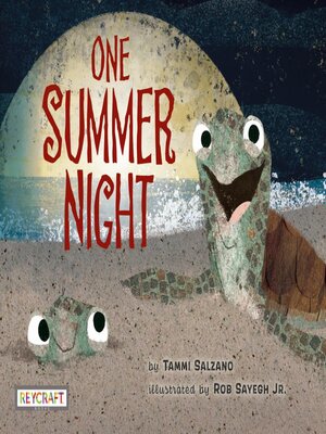 cover image of One Summer Night